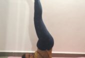 Dhanashri’s Yog Classes